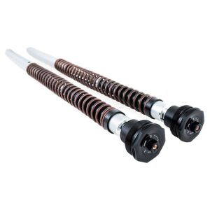 Harley Davidson CVO Road Glide  2023> 2 SET di MOLLE INCLUSE